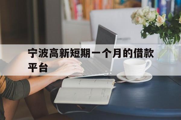 宁波高新短期一个月的借款平台 宁波高新短期一个月的借款平台