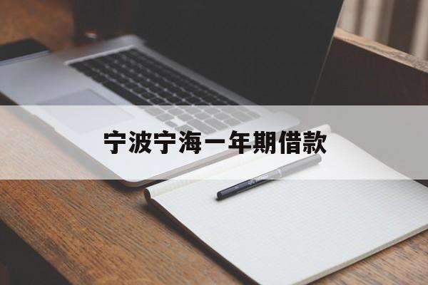 宁波宁海一年期借款 宁波宁海一年期借款