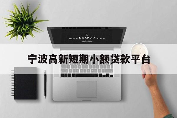 宁波高新短期小额贷款平台 宁波高新短期小额贷款平台