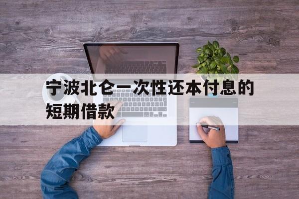 宁波北仑一次性还本付息的短期借款 宁波北仑一次性还本付息的短期借款
