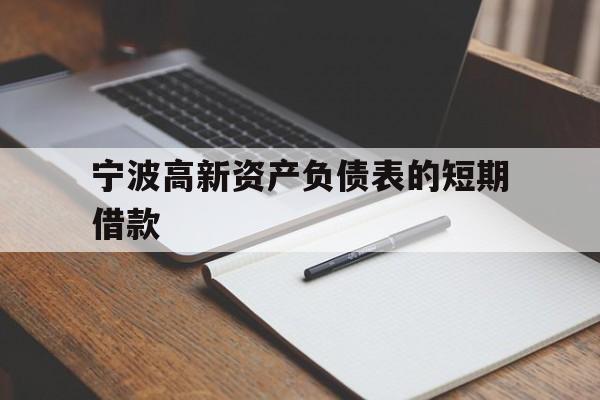 宁波高新资产负债表的短期借款 宁波高新资产负债表的短期借款