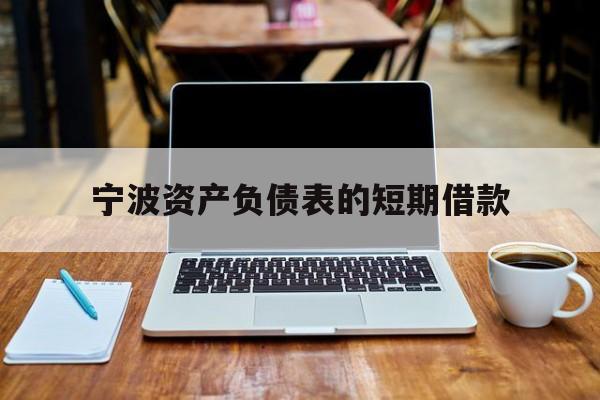 宁波资产负债表的短期借款