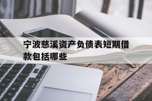 宁波慈溪资产负债表短期借款包括哪些 宁波慈溪资产负债表短期借款包括哪些