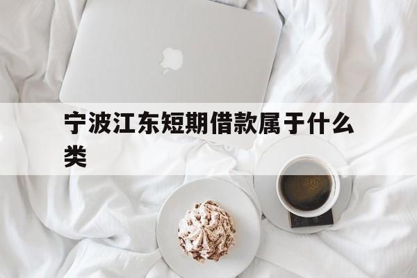 宁波江东短期借款属于什么类 宁波江东短期借款属于什么类