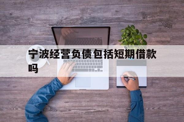 宁波经营负债包括短期借款吗 宁波经营负债包括短期借款吗