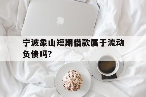 宁波象山短期借款属于流动负债吗? 宁波象山短期借款属于流动负债吗?