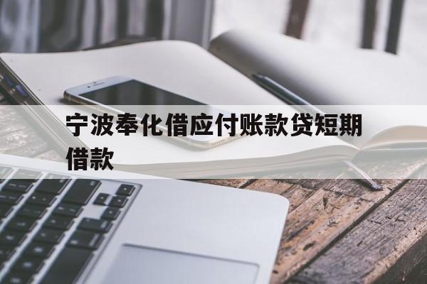 宁波奉化借应付账款贷短期借款 宁波奉化借应付账款贷短期借款