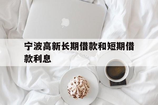 宁波高新长期借款和短期借款利息 宁波高新长期借款和短期借款利息