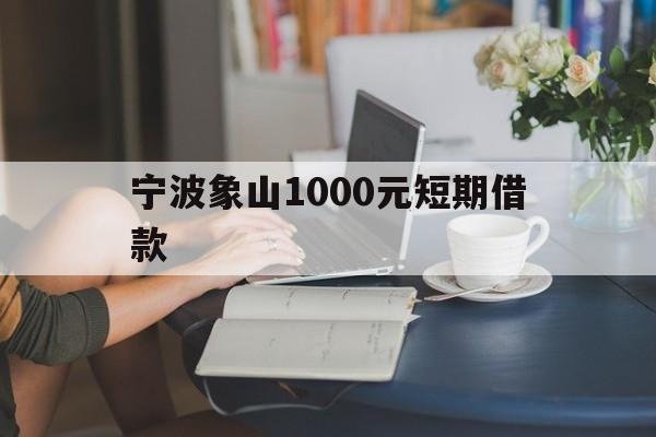 宁波象山1000元短期借款 宁波象山1000元短期借款