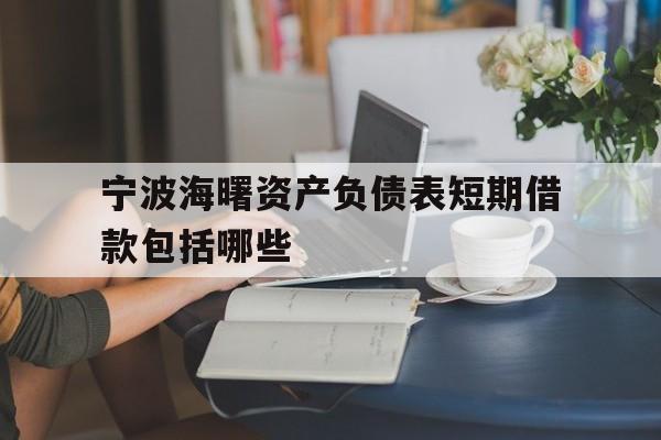 宁波海曙资产负债表短期借款包括哪些 宁波海曙资产负债表短期借款包括哪些