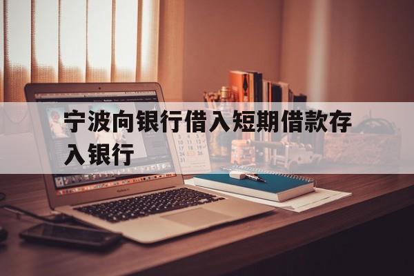 宁波向银行借入短期借款存入银行 宁波向银行借入短期借款存入银行