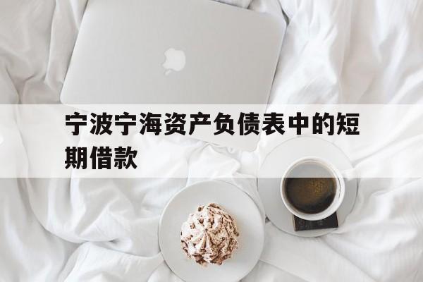 宁波宁海资产负债表中的短期借款 宁波宁海资产负债表中的短期借款