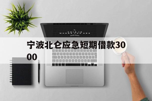 宁波北仑应急短期借款3000 宁波北仑应急短期借款3000