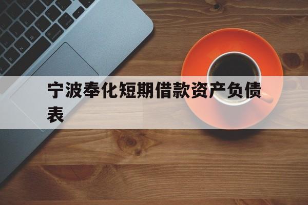 宁波奉化短期借款资产负债表 宁波奉化短期借款资产负债表