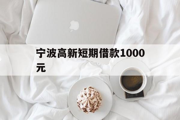 宁波高新短期借款1000元