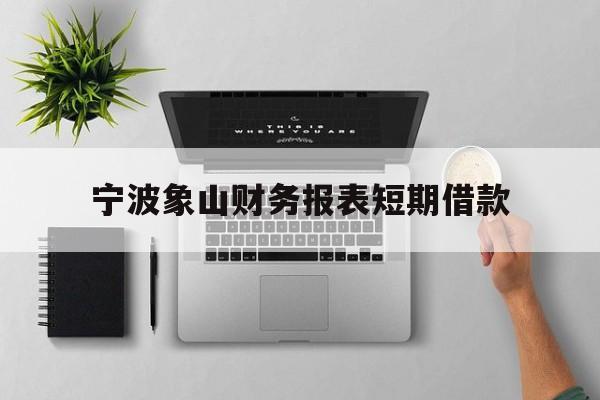 宁波象山财务报表短期借款 宁波象山财务报表短期借款