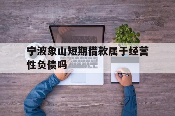 宁波象山短期借款属于经营性负债吗