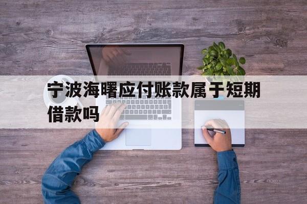 宁波海曙应付账款属于短期借款吗 宁波海曙应付账款属于短期借款吗