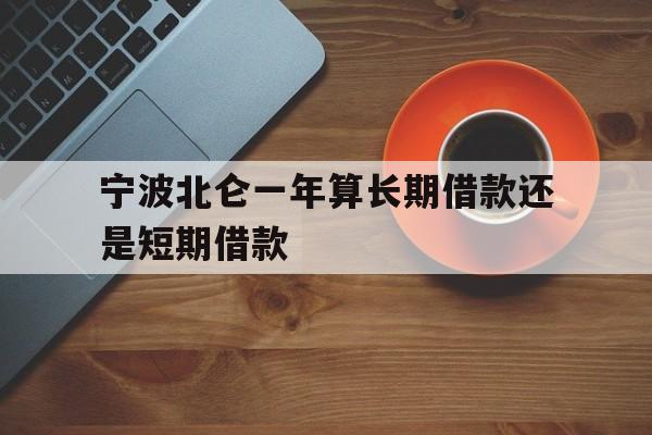 宁波北仑一年算长期借款还是短期借款 宁波北仑一年算长期借款还是短期借款