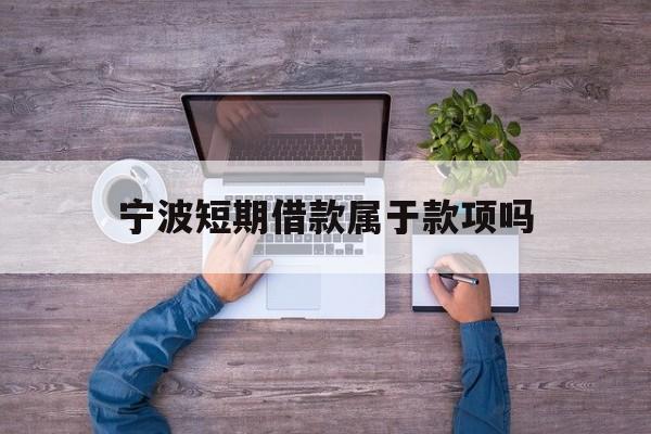 宁波短期借款属于款项吗 宁波短期借款属于款项吗