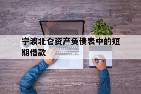 宁波北仑资产负债表中的短期借款 宁波北仑资产负债表中的短期借款