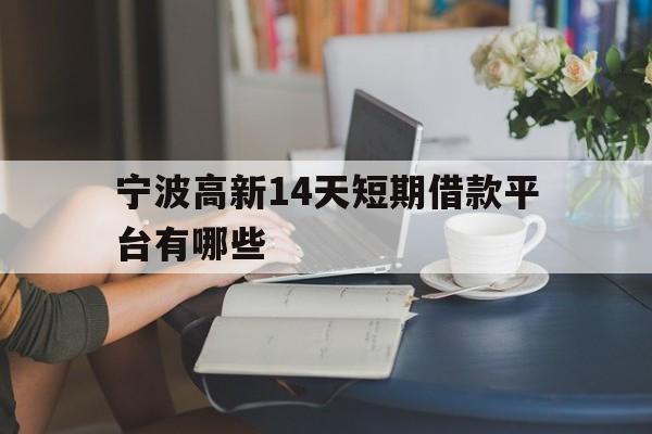 宁波高新14天短期借款平台有哪些 宁波高新14天短期借款平台有哪些