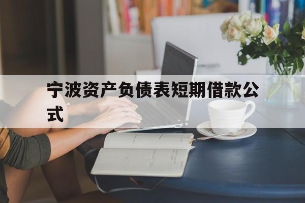宁波资产负债表短期借款公式