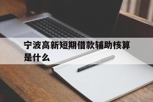 宁波高新短期借款辅助核算是什么 宁波高新短期借款辅助核算是什么