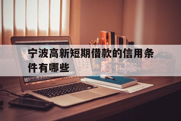 宁波高新短期借款的信用条件有哪些 宁波高新短期借款的信用条件有哪些