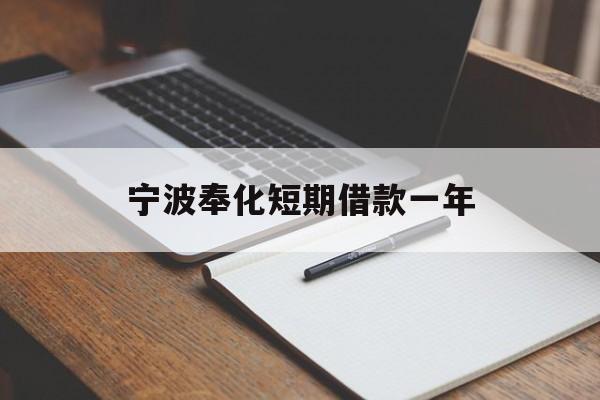 宁波奉化短期借款一年 宁波奉化短期借款一年