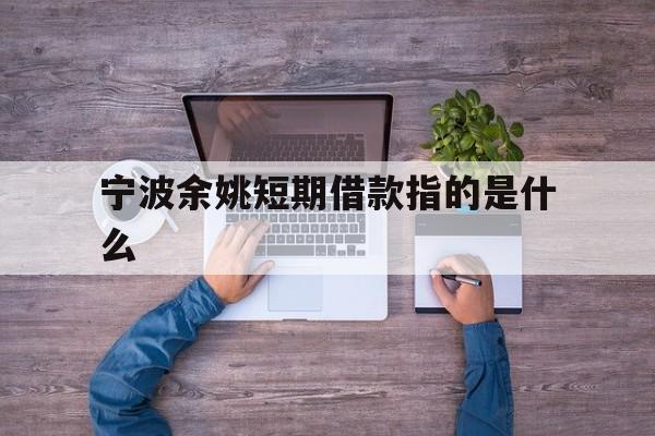 宁波余姚短期借款指的是什么 宁波余姚短期借款指的是什么