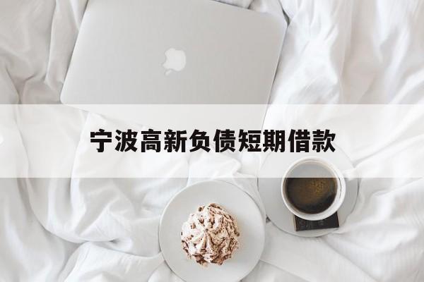 宁波高新负债短期借款 宁波高新负债短期借款