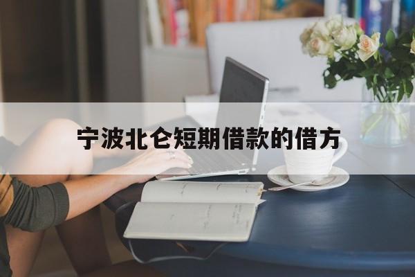 宁波北仑短期借款的借方 宁波北仑短期借款的借方