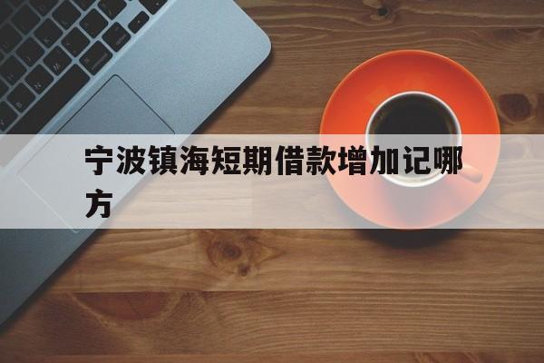 宁波镇海短期借款增加记哪方 宁波镇海短期借款增加记哪方