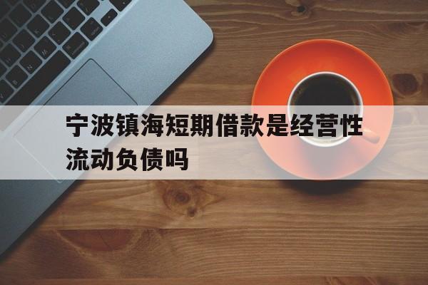宁波镇海短期借款是经营性流动负债吗 宁波镇海短期借款是经营性流动负债吗